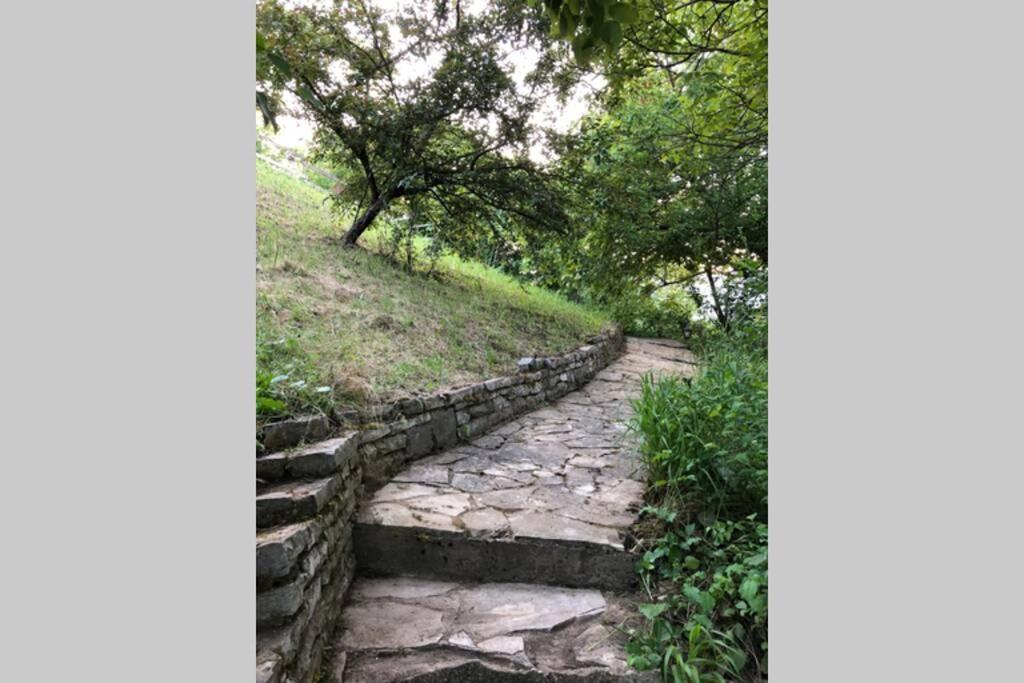 Villa Kornelija Stari Slankamen 외부 사진