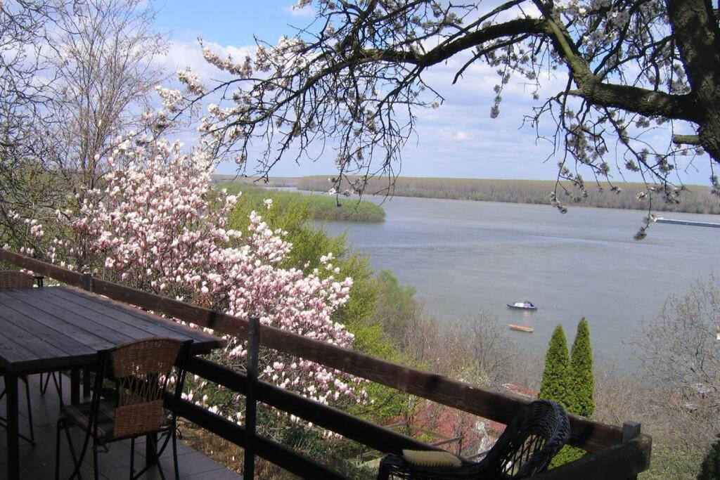 Villa Kornelija Stari Slankamen 외부 사진