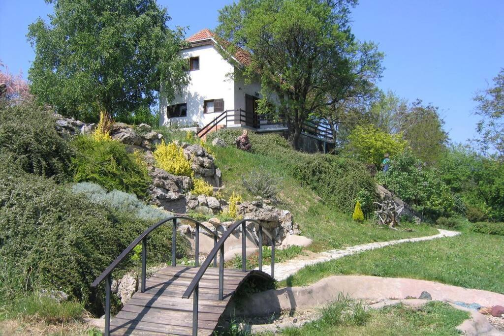 Villa Kornelija Stari Slankamen 외부 사진