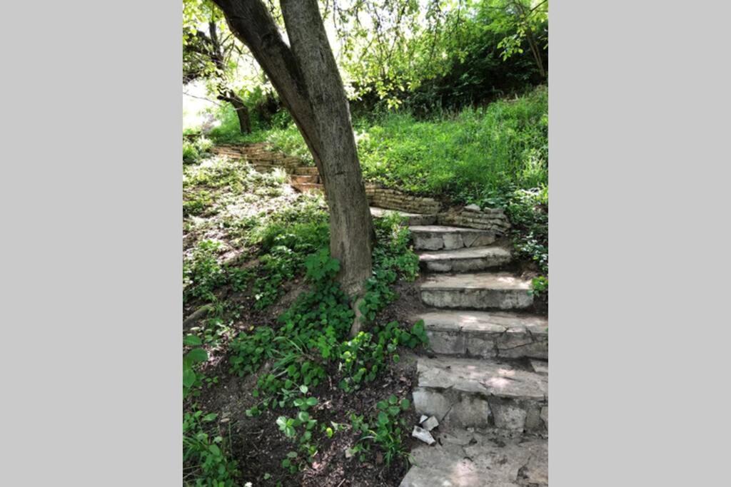 Villa Kornelija Stari Slankamen 외부 사진