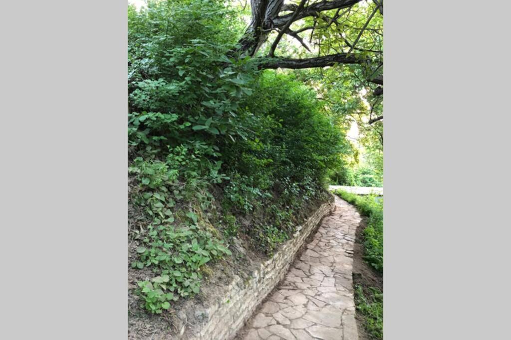 Villa Kornelija Stari Slankamen 외부 사진