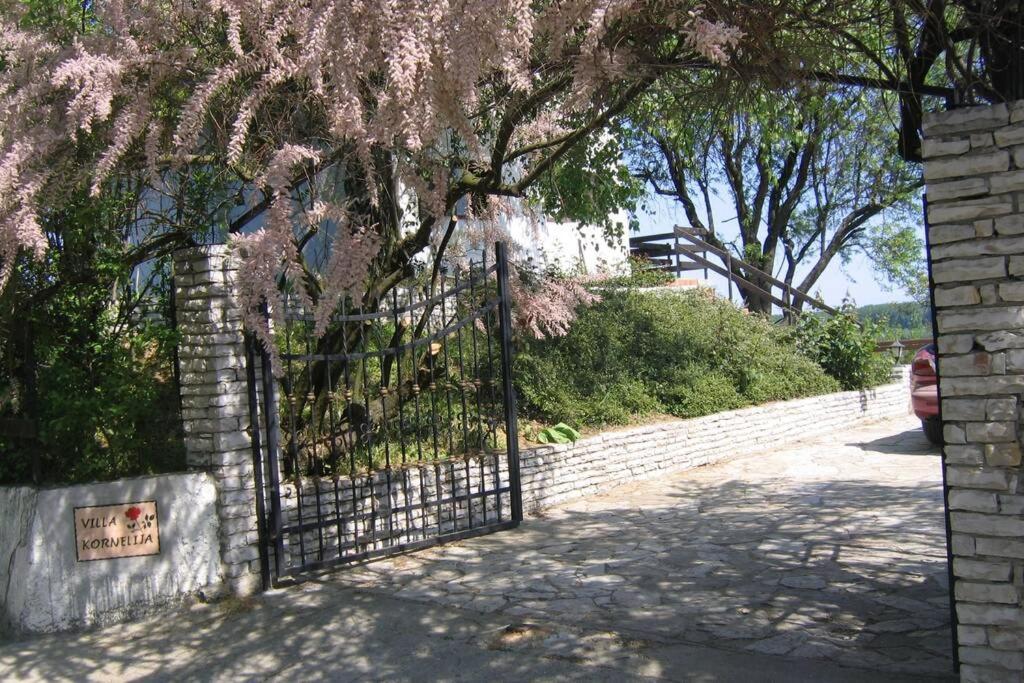 Villa Kornelija Stari Slankamen 외부 사진