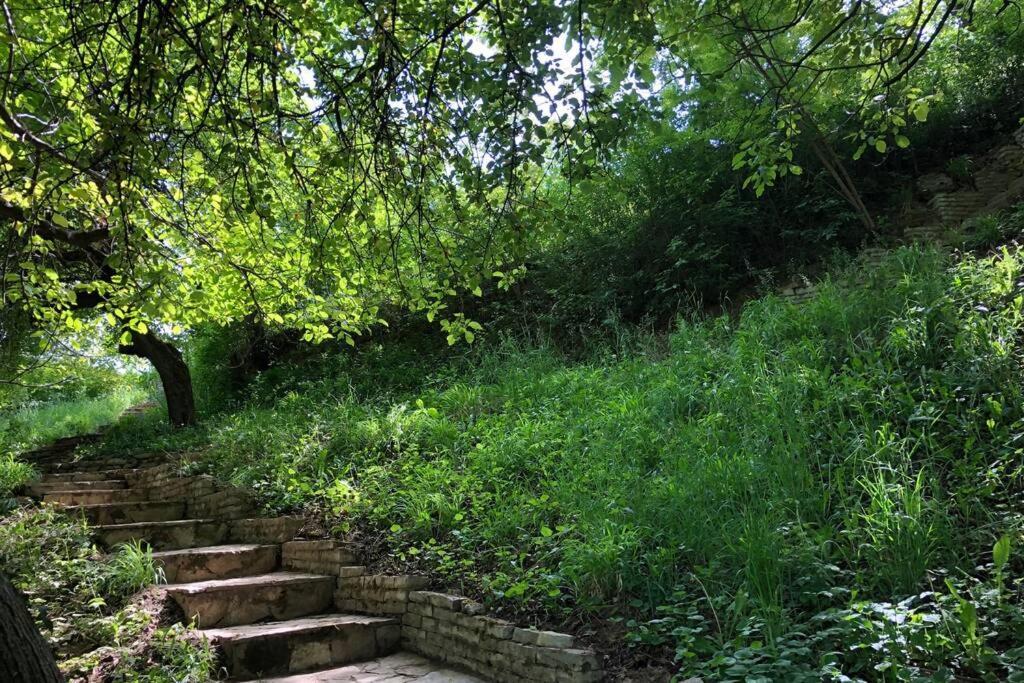 Villa Kornelija Stari Slankamen 외부 사진